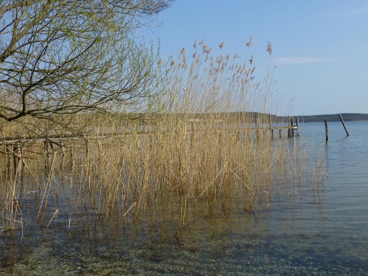 Altes Fischerhaus Villa Plau am See Luaran gambar